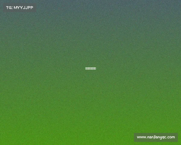 运动会赛事回顾