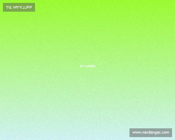 粤语nba哪里有的看